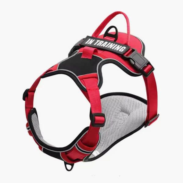 Nylon Adjustable Dog Harness Personalized Dog Harness Vest Reflective Breathable Pet Harness Leash For Small Medium Large Dogs - Image 2