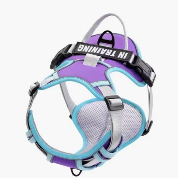 Nylon Adjustable Dog Harness Personalized Dog Harness Vest Reflective Breathable Pet Harness Leash For Small Medium Large Dogs - Image 3