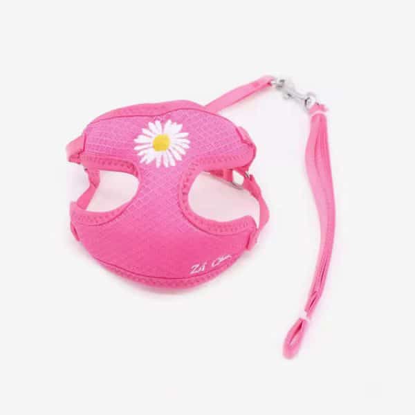 Korean Candy Color Embroidery Breathable Small Pet Dog Harness and Leash Set Soft Nylon Puppy Walking Vest for Chihuahua Yorkie - Image 3