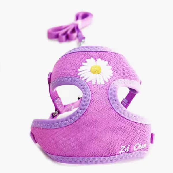 Korean Candy Color Embroidery Breathable Small Pet Dog Harness and Leash Set Soft Nylon Puppy Walking Vest for Chihuahua Yorkie - Image 4