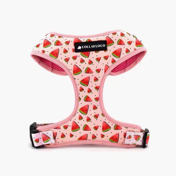 Collarl Adjustable Pet Dog Collarlogo Durable Soft Cute Creative Watermelon Design Leash Neoprene Harness Poop Bag Dispenser - Image 3