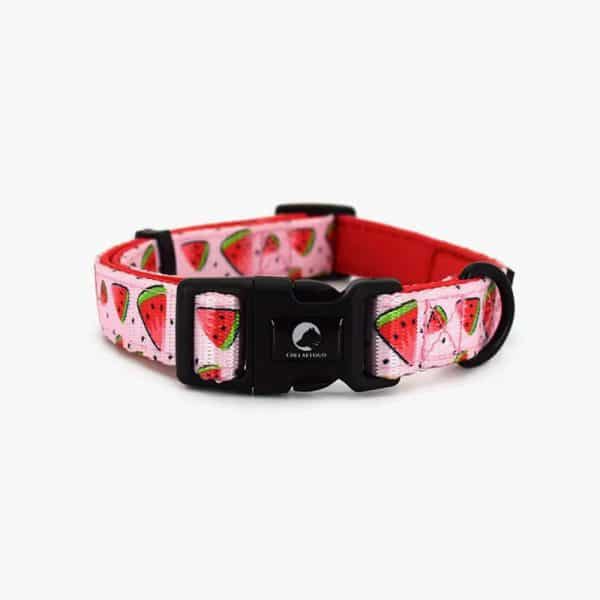 Collarl Adjustable Pet Dog Collarlogo Durable Soft Cute Creative Watermelon Design Leash Neoprene Harness Poop Bag Dispenser - Image 4