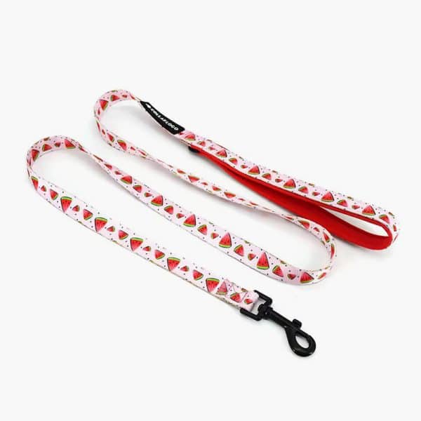 Collarl Adjustable Pet Dog Collarlogo Durable Soft Cute Creative Watermelon Design Leash Neoprene Harness Poop Bag Dispenser - Image 5