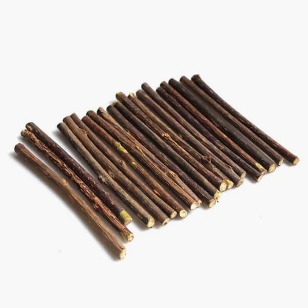 10pcs Natural Catnip Pet Cat Molar Toothpaste Stick Silvervine Cat Snacks Sticks Wood Polygonum Sticks Cat Cleaning Teeth Toys - Image 2