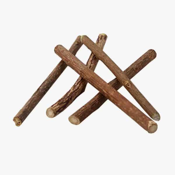 10pcs Natural Catnip Pet Cat Molar Toothpaste Stick Silvervine Cat Snacks Sticks Wood Polygonum Sticks Cat Cleaning Teeth Toys - Image 3